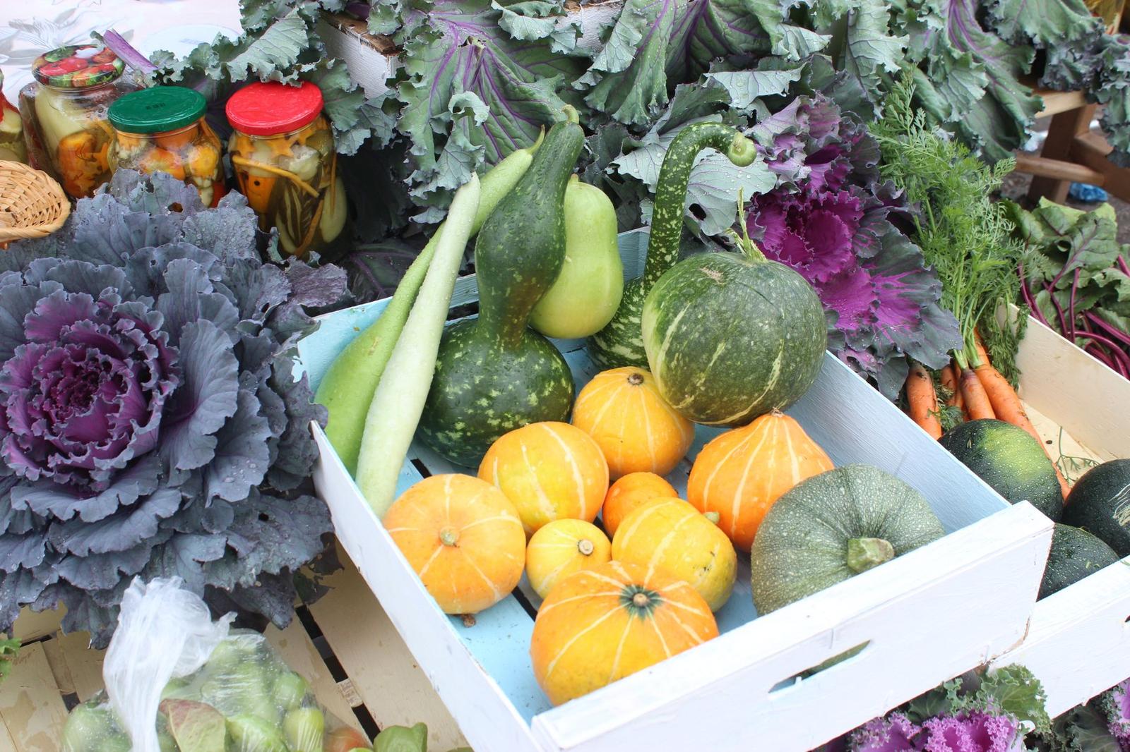 Fresh and Canned Vegetables